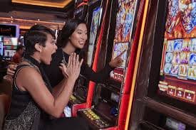 Antarmuka platform cinta55 untuk bermain Dragon Tiger Live